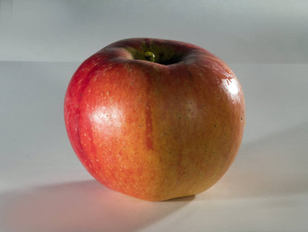 ripe red apple of autumn harvestの写真素材