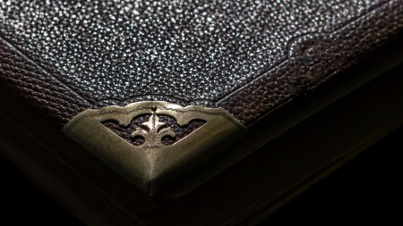 Old leather bound book with Fleur-de-lis on the cornerの写真素材