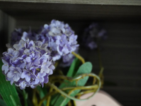 Purple hydrangea flowers on a wooden shelf in a flower shopの写真素材