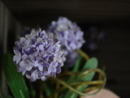 Lavender flowers in a vase on a dark background.の写真素材
