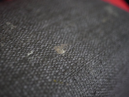Close-up of a mosquito bite on a black leather bag.の写真素材
