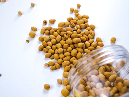 Cicer arietinum - Roasted chickpeas.の写真素材