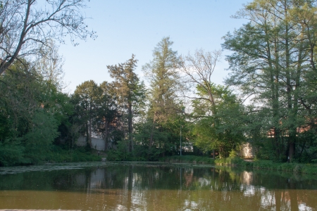 Pond in the garden of the Castle St. Peter in der Auの写真素材