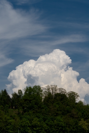 beautiful forest with majestic clouds in the backgroundの写真素材