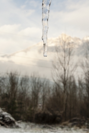Close-up of an icicle, blurred backgroundの写真素材