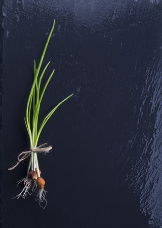 Green onion on the black backgroundの写真素材