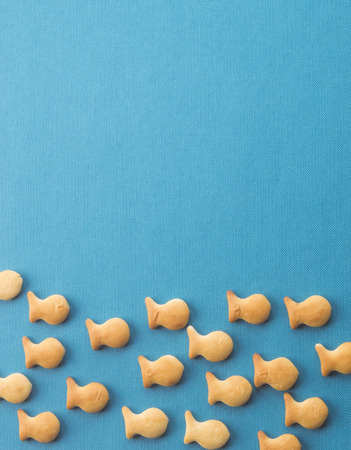 Blue background with fish. Cookie fish background.の写真素材