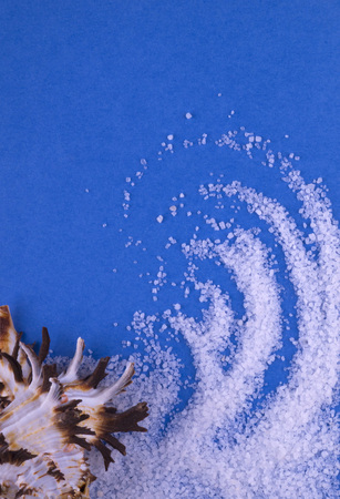 Acicular seashell with sea salt on light blue background. Postcard sea. Waves of salt,  seashell , blue background.の写真素材
