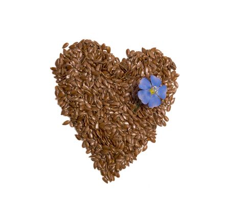 Heart laid out of flax seeds and flax flower top view on a white backgroundの写真素材