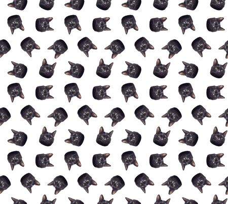 face of a black cat on a white background seamless patternの写真素材