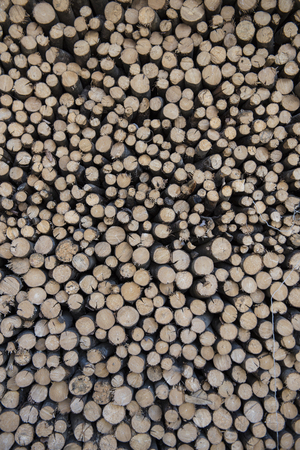 Cut and stored firewoodの写真素材