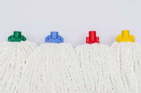 Mops on whiteの写真素材