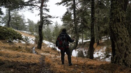 camper hiking in winter in forestの写真素材