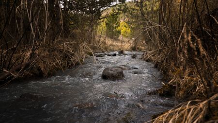 river running through the forest in the springの写真素材