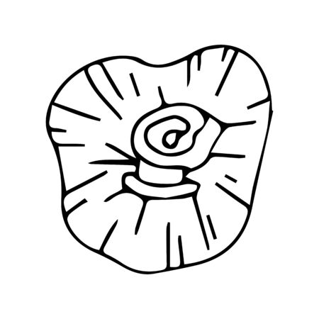 Tools for massage on an isolated white background. Eco element for spa treatments. Tools for massage hand drawn. Stock vector illustration.のイラスト素材