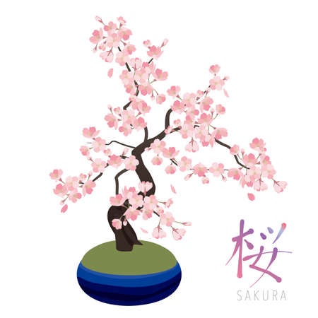 sakura 1_1のイラスト素材