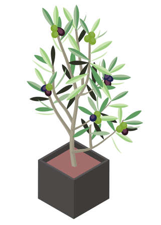 Isometric illust_olive 1_1のイラスト素材