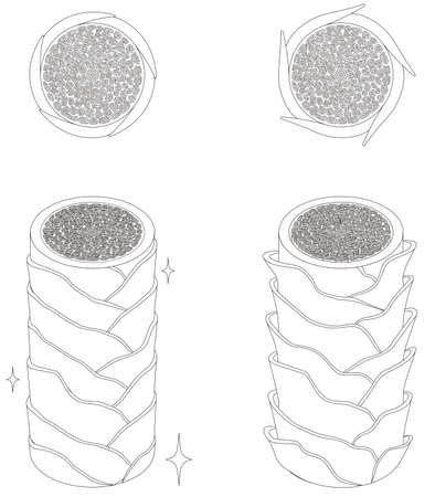 Hair cross section 4_2 No commentaryのイラスト素材