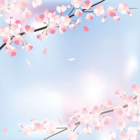 background_sakura 1_3のイラスト素材