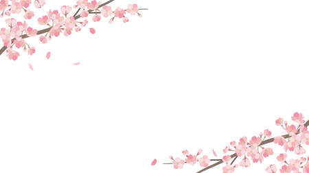 background_sakura 2_1のイラスト素材
