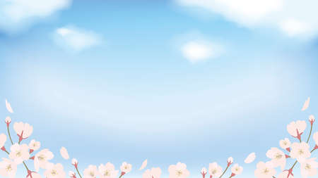 background_sakura 5_4のイラスト素材