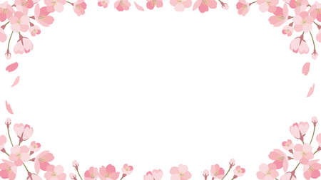 background_sakura 5_1のイラスト素材