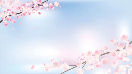 background_sakura 2_3のイラスト素材
