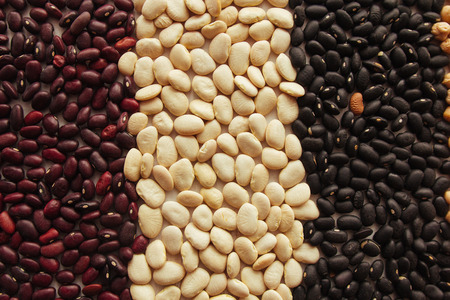 Red, lima and black beans top view selective focusの写真素材