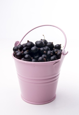 blueberries in the bucketの写真素材