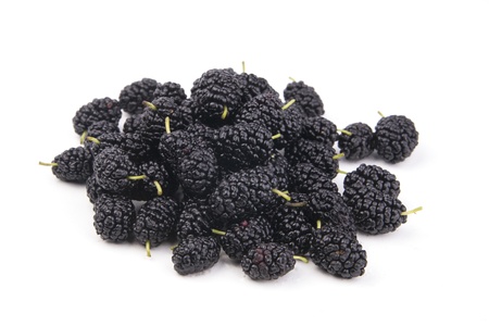 there is an isolated mulberry in the imageの写真素材