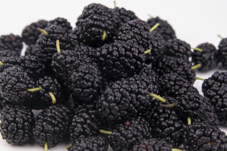 there is an isolated mulberry in the imageの写真素材