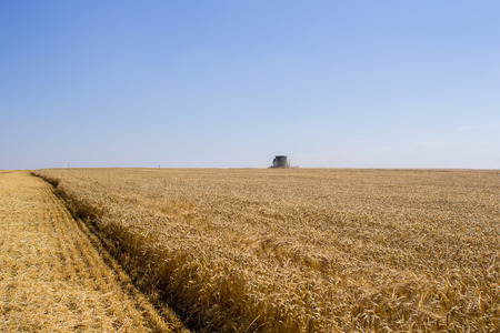 Khmelnitskiy, Ukraine - July 23: Modern John Deere combine harvesting grain in the field near the town Khmelnitskiy, Western Ukraine July 23, 2015のeditorial素材