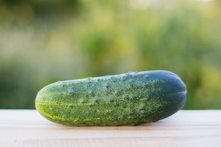 an image of fresh cucumbers on the wooden backgroundの写真素材