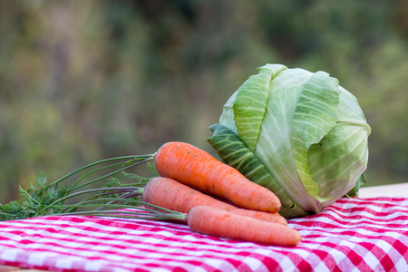 An image of cabbage and carrotsの写真素材
