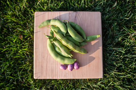 An image of different types of beans in the bowlsの写真素材