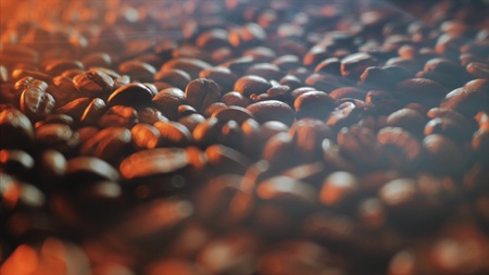 Roasting coffee beansの写真素材