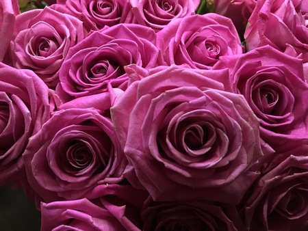 Colorful flower bouquet from pink rosesの写真素材