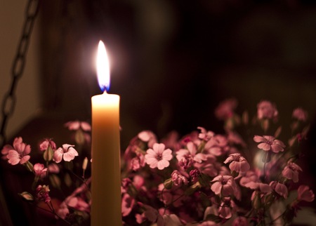 branch pink tropical flower candle with therapy stonesの写真素材