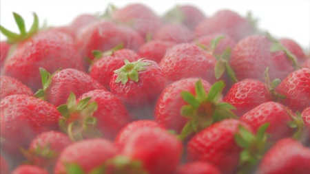Fresh, ripe, juicy strawberries rotate with steam after freezer. or refrigerator. Appetizing berries with droplets on a trayの写真素材
