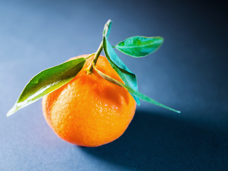 Fresh juicy picked mandarins on table. Christmas and New year symbolの写真素材