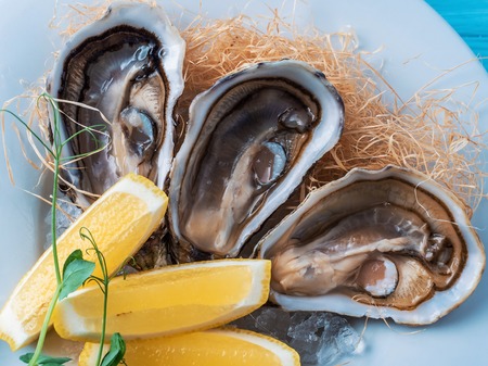 Fresh oysters with lemon on white plate in restaurant
