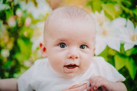 Beautiful portrait of little baby boy on flowers bush background. Child in spring blossom. Cute newborn son smiling.の写真素材