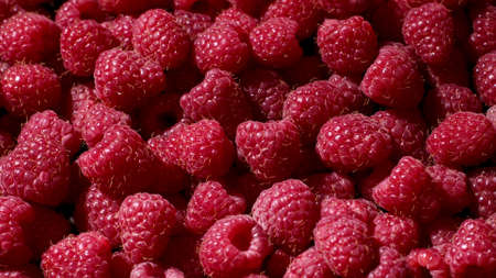 Juicy fresh raspberries on black background