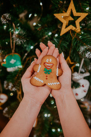 Woman holding in hands Christmas gingerbread man cookie on tree background. Holiday concept.