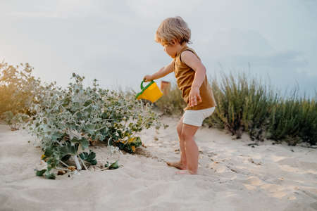 Cute little boy watering plants with can on sandy beach. summer sunny day. Toddler with colorful pot. Natural aestetic portrait of child.の写真素材