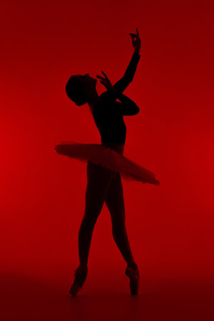 Beautiful silhouette of ballerina on red background dancing ballet. Woman performs smooth movements with hands. Sensual dancer in tutu dress on scene under infrared light..の写真素材