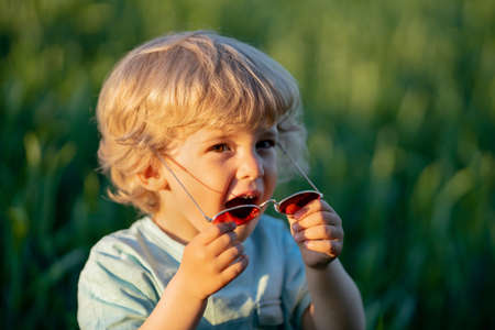 Funny curly hair baby boy in red sunglasses standing in fresh green wheat field. Lovely toddler child explores plants, nature in spring. Childhood, children fashion style conceptの写真素材