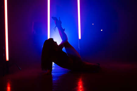Silhouette of beautiful dancer on smoky multi-colored background. Neon spotlight shines behind sexy woman. Lady moving seductively. Concept of choreography, dance, performanceの写真素材