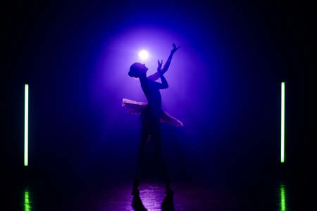 Silhouette of theater dancer in tutu on violet spotlight background. Woman ballerina dancing classical dance elements. Lightness, femininity and professionalism in movementsの写真素材