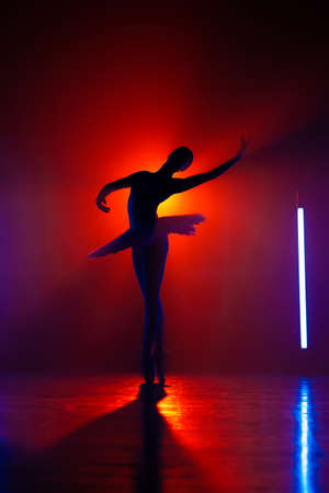 Silhouette of theater dancer in tutu on orange spotlight background. Woman ballerina dancing classical dance elements. Lightness, femininity and professionalism in movementsの写真素材